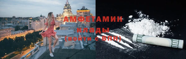стаф Алзамай