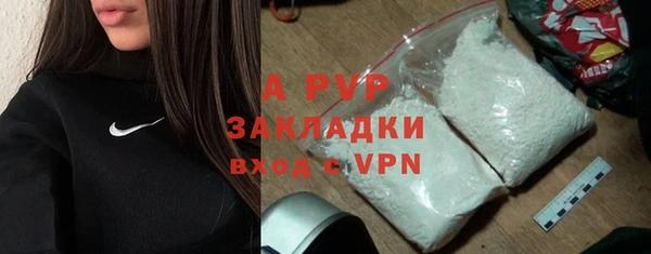 стаф Алзамай