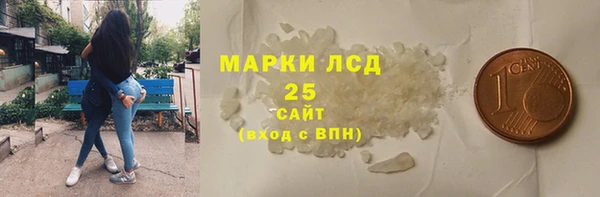 стаф Алзамай
