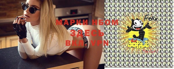 гашик Алексин
