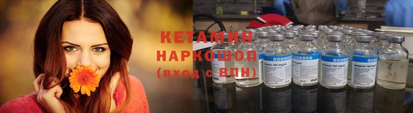 гашик Алексин