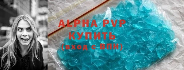 гашик Алексин
