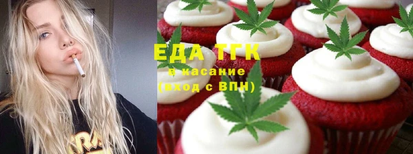 гашик Алексин