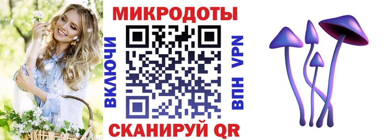 Псилоцибиновые грибы прущие грибы  Ивангород 