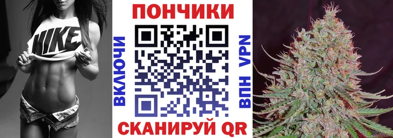 Бошки марихуана конопля  Ивангород 